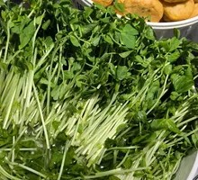Pea Shoots
