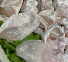 Fish Bladder