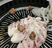 Live Octopus