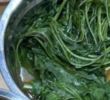 Water spinach