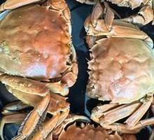 Freshwater Crab