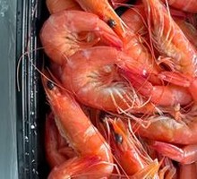Sea White Shrimp
