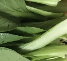 Bok choy
