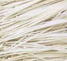 Enoki Mushroom