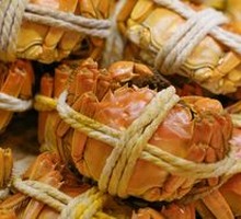 Steamed Mud Crab