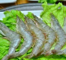 Grilled Shrimp