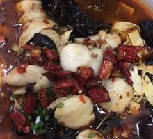 Spicy Squid