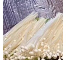Enoki Mushroom