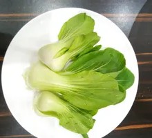 Oilseed lettuce