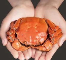 Freshwater Crab Gift Card