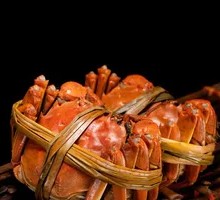 Freshwater Crab