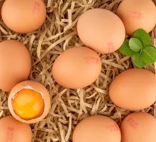 Lan Huang Fresh Egg