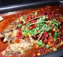江团鱼