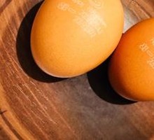 Egg