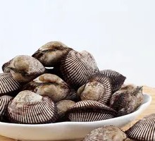 Fresh Small Clam