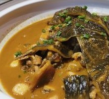 Braised Turtle with Red Sauce