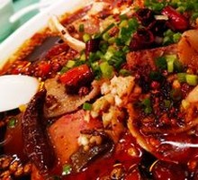 Premium Maoxuewang