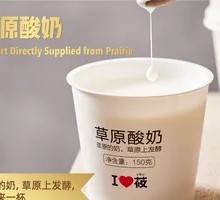 Grassland Yogurt