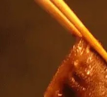Signature Black Tripe