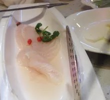 Fish Meat
