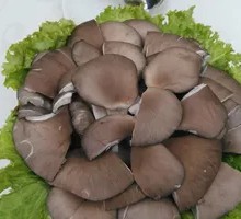 Enoki Mushroom