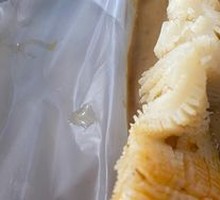 Tripe