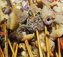 Morel Mushroom