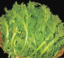 Chinese chrysanthemum greens