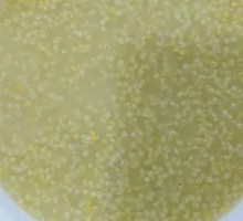 Rice Porridge
