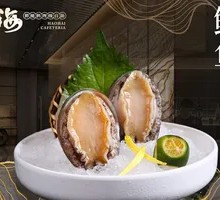 Abalone