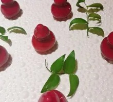 French Red Wine Braised Goose Liver in Pumpkin