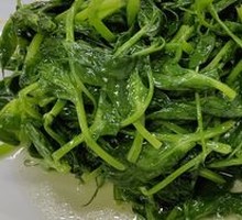 Stir-fried Pea Shoots