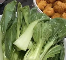Oilseed lettuce