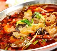 Chongqing Maoxuewang