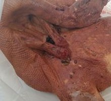Smoked Duck
