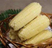 Glutinous Corn