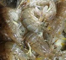 Fresh Giant Prawn