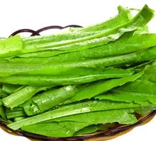Oilseed lettuce