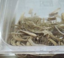 Tripe
