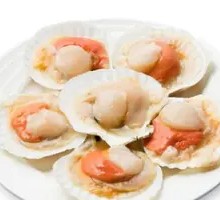 Grilled Scallops