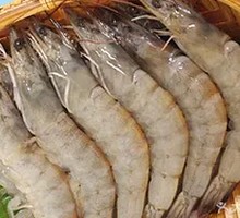 Prawn