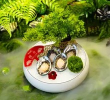 Selected Abalone