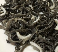 Fresh Beef Tripe