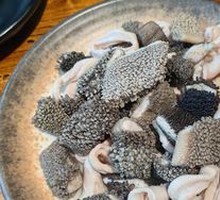 Morel Mushroom