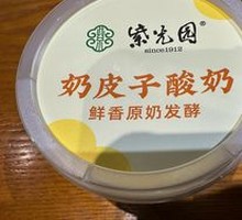 Creamy Milk Yogurt