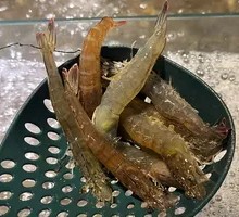 Fresh Tiger Prawns