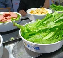 Oilseed lettuce