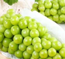 Sunshine Rose Grape