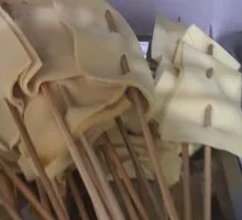 Tofu Skin