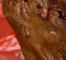 Black Duck Head